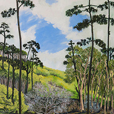 Coastal Woods