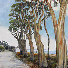 Stand of Eucalyptus Trees, La Sleva Beach